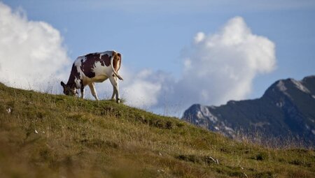 Alpenüberquerung Tegernsee - Sterzing individuell