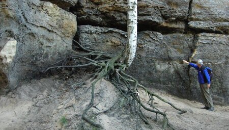 Tiefe Schluchten & bizarre Felsen - Wandern in der Sächsischen Schweiz