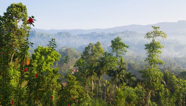 Sri Lanka komfortabel erwandern