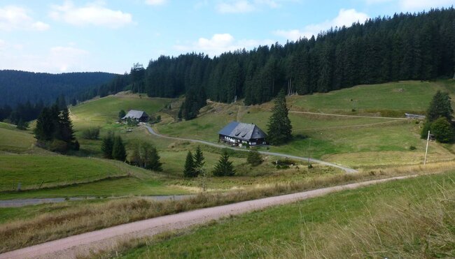 Schluchtensteig - die Vielfalt des Schwarzwalds