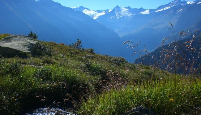 Berliner Höhenweg - der alpine Klassiker hoch über dem Zillertal