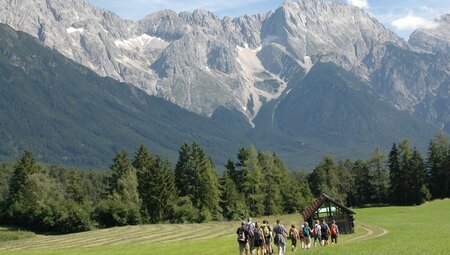 Almwandern - Mieminger Plateau