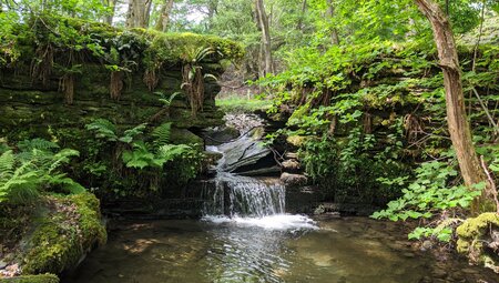 Bachlauf am North East Wales Heritage Trail