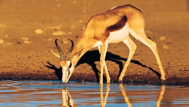 Namibia komfortabel erwandern