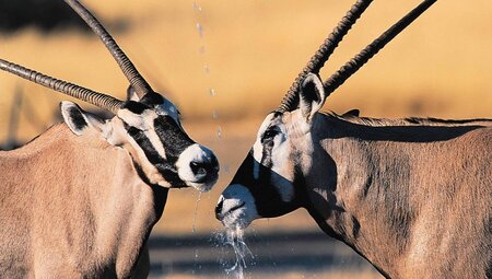 Namibia komfortabel erwandern