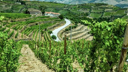 Douro - der goldene Fluss Portugals