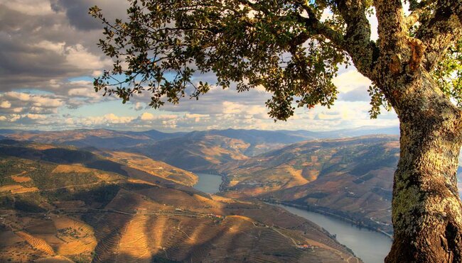 Douro - der goldene Fluss Portugals