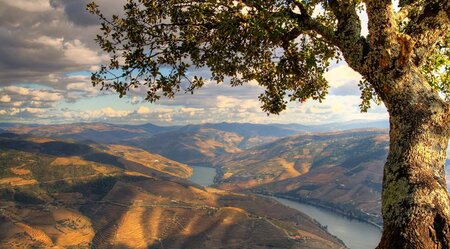 Douro - Weingut-Wanderung in Portugals Norden