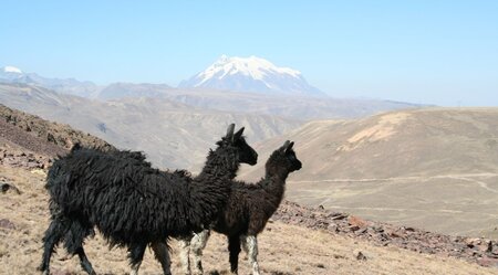 Chile,Bolivien, Peru - Von Atacama bis Machu Picchu