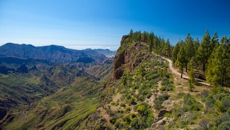Gran Canarias Highlights erwandern