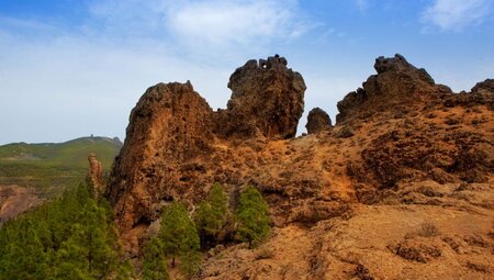 Gran Canarias Highlights erwandern