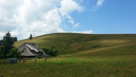 Die schönsten Wanderungen im Schwarzwald - Gipfel, Seen und Schluchten