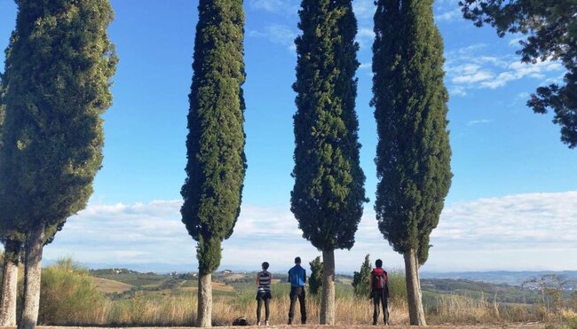 Via Francigena V - von Massa nach Siena