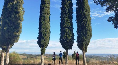 Via Francigena V - von Massa nach Siena