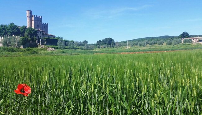 Via Francigena V - von Massa nach Siena