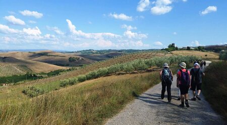 Via Francigena VI - von Siena nach Viterbo