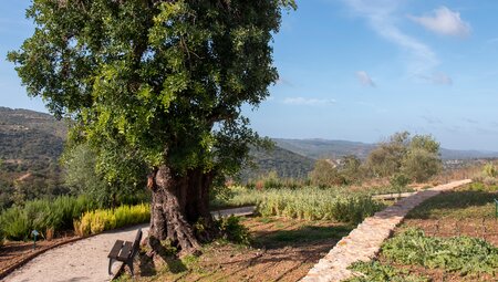 Via Algarviana - das Hinterland der Algarve erwandern