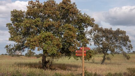 Via Algarviana - das Hinterland der Algarve erwandern