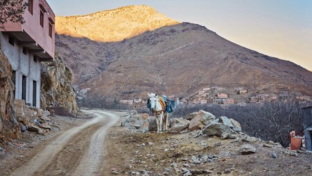 Auf den höchsten Berg Marokkos - Besteige den  Djebel Toubkal