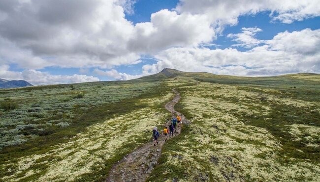Norwegen individuell - Nationalpark Rondane