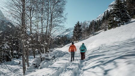 Schneeschuhwandern im Gschnitztal