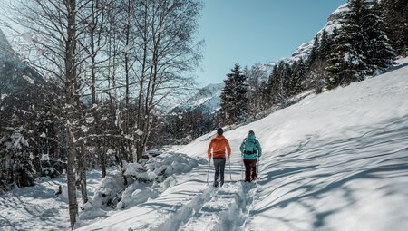 Schneeschuhwandern im Gschnitztal