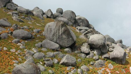 Kulinarische Reise ins Douro Tal