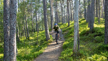 Downhill Trail Norwegen