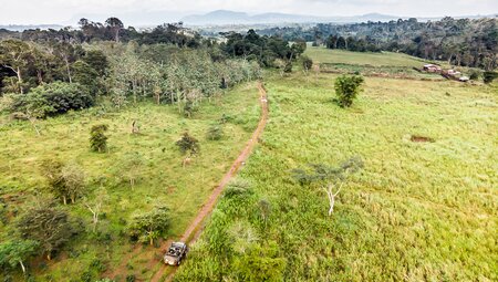 Grüne Landschaft Laos