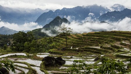 Wanderer in Vietnam