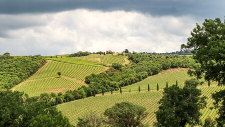 Radtour durch Alentejo-Weinberge und Alqueva-See