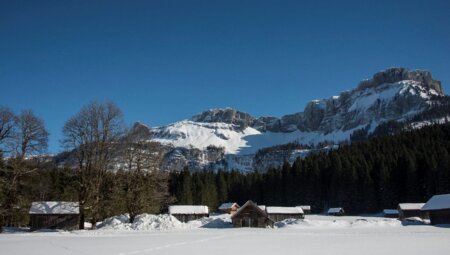 Schneeschuh Glück - Streifzug durch das winterliche Salzkammergut