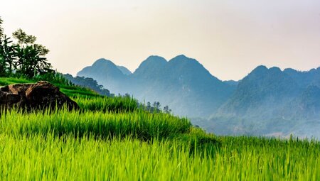 Vietnams Highlights erleben