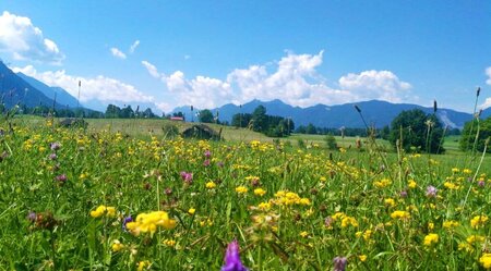 Chiemsee - Königssee: 7 Tage Gemütlichkeit in Oberbayern