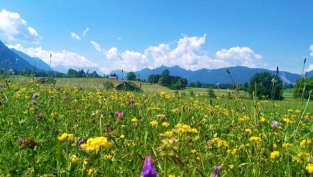 Chiemsee - Waginger See