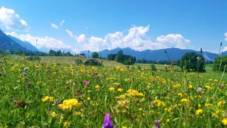 Chiemsee - Waginger See