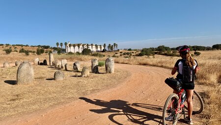 Portugal - Radfahren durch Weingüter Premium