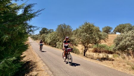 Portugal - Radfahren durch Weingüter Premium