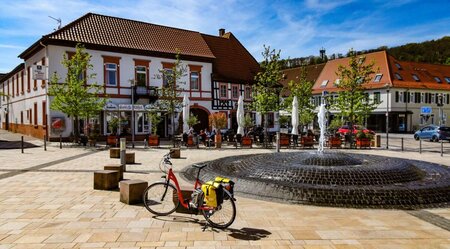 Rheinradweg III: Straßburg - Mainz