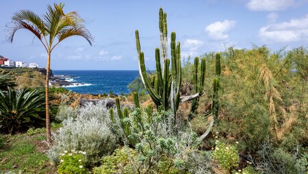 Silvester auf La Palma