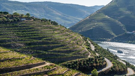 Radeln und Kultur im portugiesischen Duoro Tal
