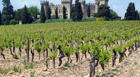 Frankreich individuell - entlang der Rhône von Lyon nach Orange