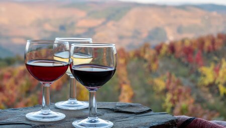 Radtour durch das wunderschöne Duoro Tal 