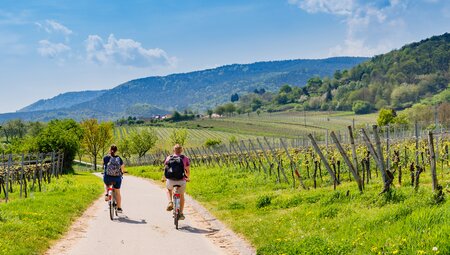 Radtour mit Meeresfrüchten und Paradores nach Santiago