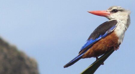 Kapverden - Santiago und Sao Nicolau auf unbekannten Pfaden erwandern