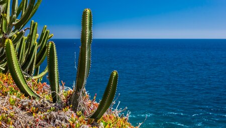 Silvester auf Gran Canaria