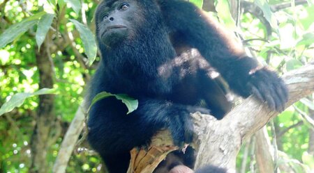 Höhepunkte Belize