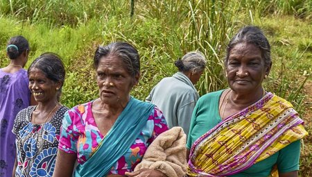 Sri Lanka mit dem E-Bike entdecken