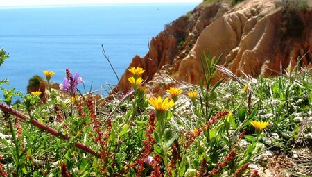 Die Highlights der Algarve erwandern