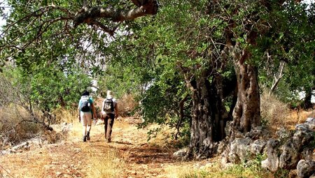 Die Highlights der Algarve erwandern